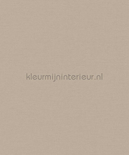 AS Creation Retro chiq 39098-3 | Bestellen bij https://www.kleurmijninterieur.nl/