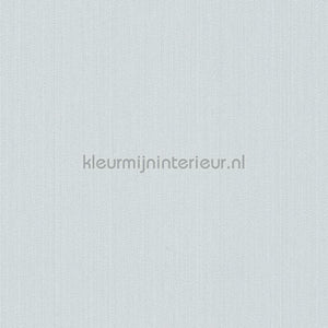 AS Creation The BOS 38098-2 | Bestellen bij https://www.kleurmijninterieur.nl/