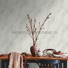 AS Creation The BOS 38817-2 | Bestellen bij https://www.kleurmijninterieur.nl/