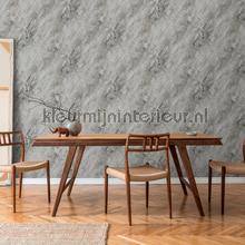 AS Creation The BOS 38817-4 | Bestellen bij https://www.kleurmijninterieur.nl/