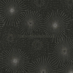 AS Creation The BOS 38818-1 | Bestellen bij https://www.kleurmijninterieur.nl/