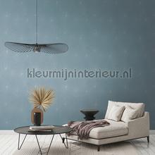 AS Creation The BOS 38818-2 | Bestellen bij https://www.kleurmijninterieur.nl/
