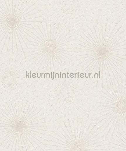 AS Creation The BOS 38818-4 | Bestellen bij https://www.kleurmijninterieur.nl/