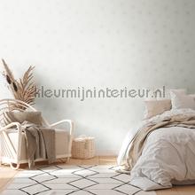 AS Creation The BOS 38818-4 | Bestellen bij https://www.kleurmijninterieur.nl/