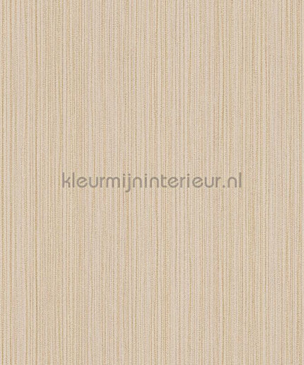 AS Creation The BOS 38819-6 | Bestellen bij https://www.kleurmijninterieur.nl/