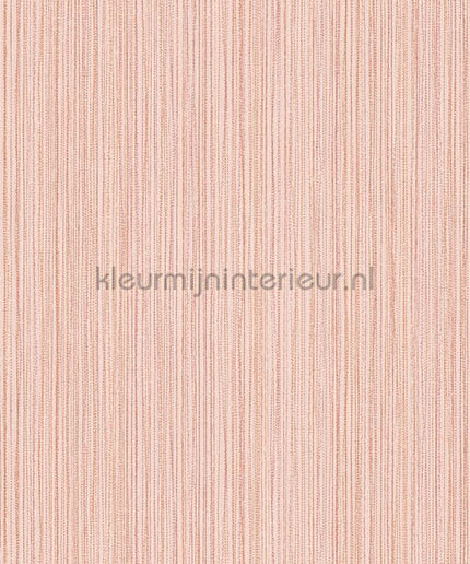 AS Creation The BOS 38820-1 | Bestellen bij https://www.kleurmijninterieur.nl/