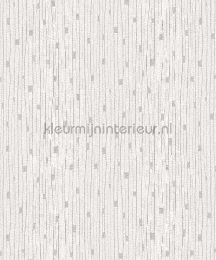 AS Creation The BOS 38822-1 | Bestellen bij https://www.kleurmijninterieur.nl/