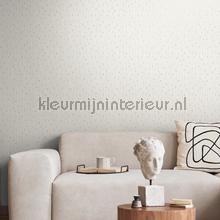 AS Creation The BOS 38822-1 | Bestellen bij https://www.kleurmijninterieur.nl/