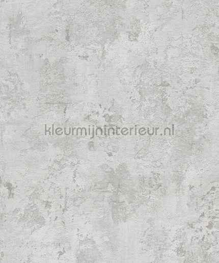 AS Creation The BOS 38823-2 | Bestellen bij https://www.kleurmijninterieur.nl/