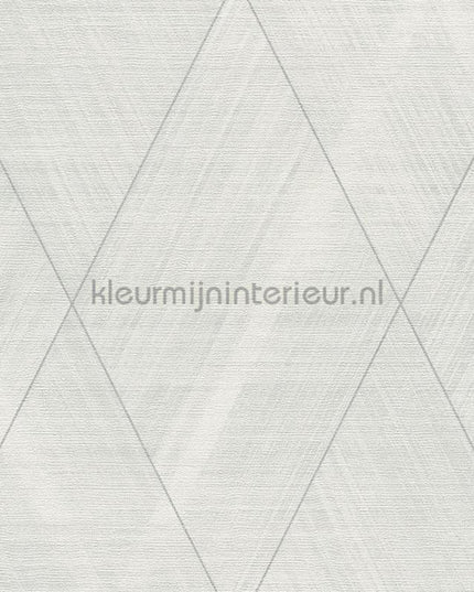 AS Creation The BOS 38824-3 | Bestellen bij https://www.kleurmijninterieur.nl/