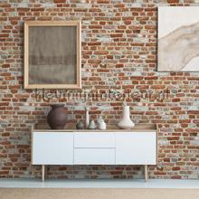 AS Creation The BOS 38829-1 | Bestellen bij https://www.kleurmijninterieur.nl/