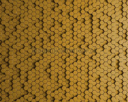 AS Creation Walls by Patel 2 0-P8 | Bestellen bij https://www.kleurmijninterieur.nl/