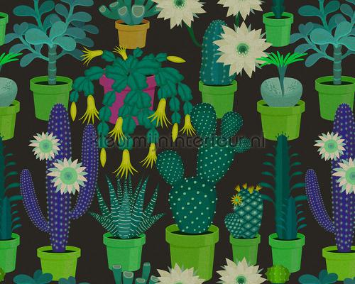 AS Creation Walls by Patel 2 dd114147 | Bestellen bij https://www.kleurmijninterieur.nl/