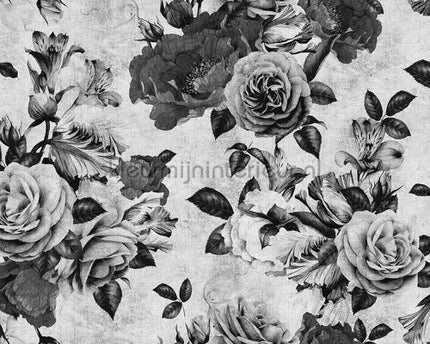 AS Creation Walls by Patel 2 dd114152 | Bestellen bij https://www.kleurmijninterieur.nl/