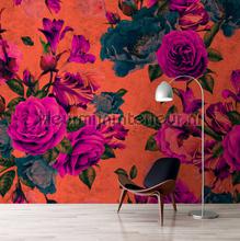 AS Creation Walls by Patel 2 dd114157 | Bestellen bij https://www.kleurmijninterieur.nl/