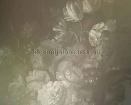 AS Creation Walls by Patel 2 dd114192 | Bestellen bij https://www.kleurmijninterieur.nl/