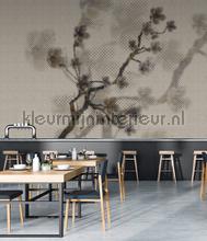 AS Creation Walls by Patel 2 dd114197 | Bestellen bij https://www.kleurmijninterieur.nl/