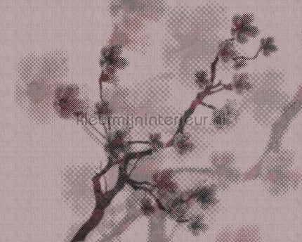 AS Creation Walls by Patel 2 dd114207 | Bestellen bij https://www.kleurmijninterieur.nl/