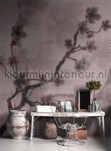 AS Creation Walls by Patel 2 dd114207 | Bestellen bij https://www.kleurmijninterieur.nl/