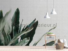 AS Creation Walls by Patel 2 dd114212 | Bestellen bij https://www.kleurmijninterieur.nl/