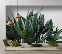 AS Creation Walls by Patel 2 dd114217 | Bestellen bij https://www.kleurmijninterieur.nl/