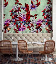AS Creation Walls by Patel 2 dd114252 | Bestellen bij https://www.kleurmijninterieur.nl/
