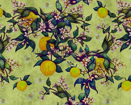 AS Creation Walls by Patel 2 dd114257 | Bestellen bij https://www.kleurmijninterieur.nl/
