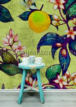 AS Creation Walls by Patel 2 dd114257 | Bestellen bij https://www.kleurmijninterieur.nl/