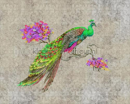 AS Creation Walls by Patel 2 dd114307 | Bestellen bij https://www.kleurmijninterieur.nl/