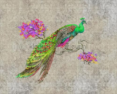 AS Creation Walls by Patel 2 dd114307 | Bestellen bij https://www.kleurmijninterieur.nl/