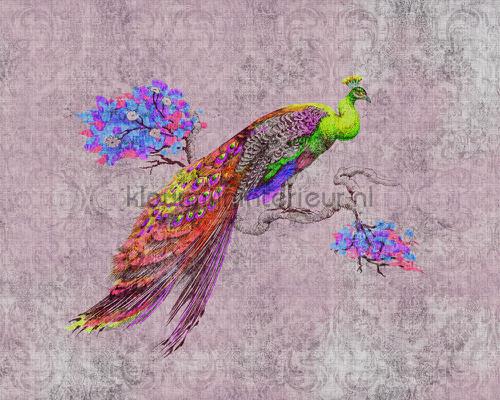 AS Creation Walls by Patel 2 dd114312 | Bestellen bij https://www.kleurmijninterieur.nl/