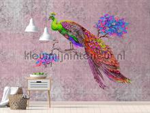 AS Creation Walls by Patel 2 dd114312 | Bestellen bij https://www.kleurmijninterieur.nl/