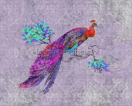 AS Creation Walls by Patel 2 dd114317 | Bestellen bij https://www.kleurmijninterieur.nl/