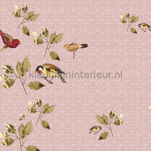 AS Creation Walls by Patel 2 dd114322 | Bestellen bij https://www.kleurmijninterieur.nl/