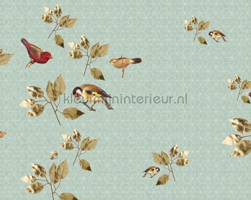 AS Creation Walls by Patel 2 dd114327 | Bestellen bij https://www.kleurmijninterieur.nl/