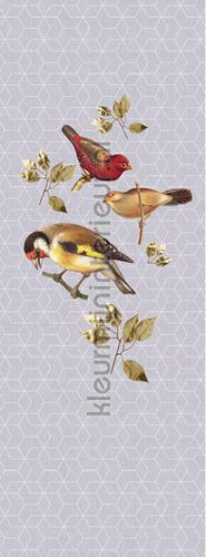 AS Creation Walls by Patel 2 dd114332 | Bestellen bij https://www.kleurmijninterieur.nl/