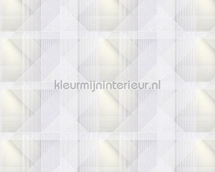 AS Creation Walls by Patel 2 dd114377 | Bestellen bij https://www.kleurmijninterieur.nl/