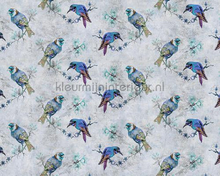 AS Creation Walls by Patel 2 dd114402 | Bestellen bij https://www.kleurmijninterieur.nl/