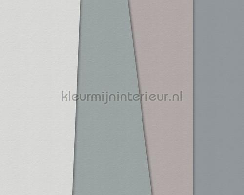 AS Creation Walls by Patel 2 dd114467 | Bestellen bij https://www.kleurmijninterieur.nl/