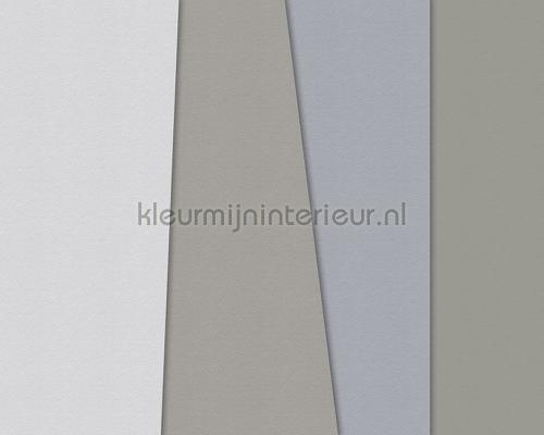 AS Creation Walls by Patel 2 dd114482 | Bestellen bij https://www.kleurmijninterieur.nl/