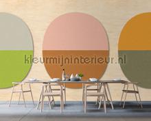 AS Creation Walls by Patel 2 dd114552 | Bestellen bij https://www.kleurmijninterieur.nl/