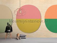 AS Creation Walls by Patel 2 dd114557 | Bestellen bij https://www.kleurmijninterieur.nl/