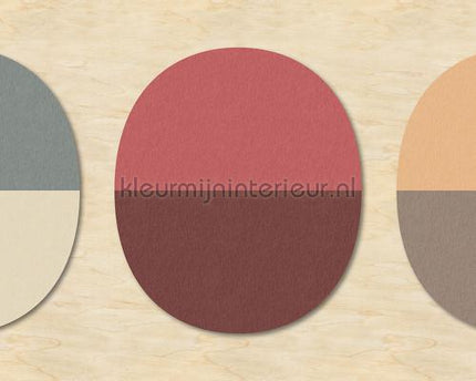 AS Creation Walls by Patel 2 dd114562 | Bestellen bij https://www.kleurmijninterieur.nl/