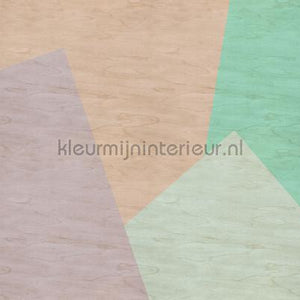 AS Creation Walls by Patel 2 dd114602 | Bestellen bij https://www.kleurmijninterieur.nl/
