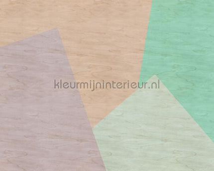 AS Creation Walls by Patel 2 dd114602 | Bestellen bij https://www.kleurmijninterieur.nl/