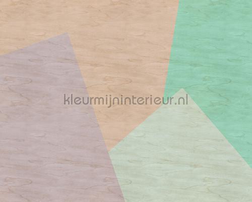 AS Creation Walls by Patel 2 dd114602 | Bestellen bij https://www.kleurmijninterieur.nl/