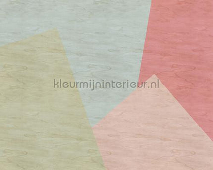 AS Creation Walls by Patel 2 dd114607 | Bestellen bij https://www.kleurmijninterieur.nl/