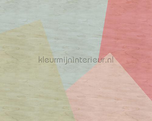 AS Creation Walls by Patel 2 dd114607 | Bestellen bij https://www.kleurmijninterieur.nl/