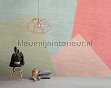 AS Creation Walls by Patel 2 dd114607 | Bestellen bij https://www.kleurmijninterieur.nl/