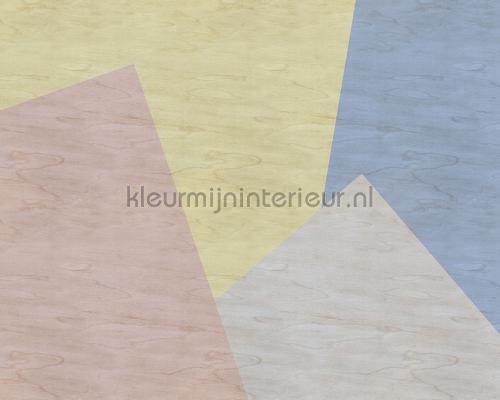 AS Creation Walls by Patel 2 dd114612 | Bestellen bij https://www.kleurmijninterieur.nl/